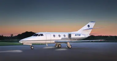 Falcon 100