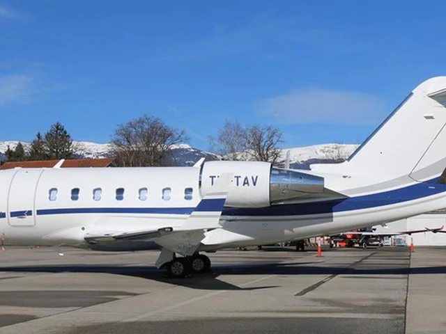 T7-TAV — photo
