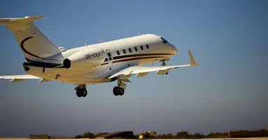 Legacy 500