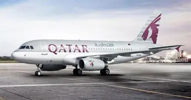 Airbus 319 Corporate Jet