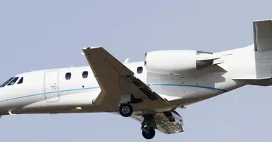 Citation Excel