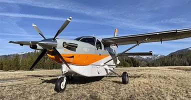 Kodiak 100