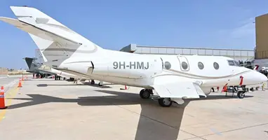 Falcon 100