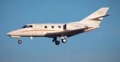 Falcon 100