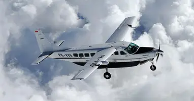 Grand Caravan 208B