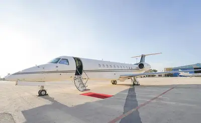 Legacy 650
