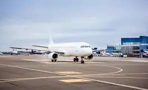 LY-FOX