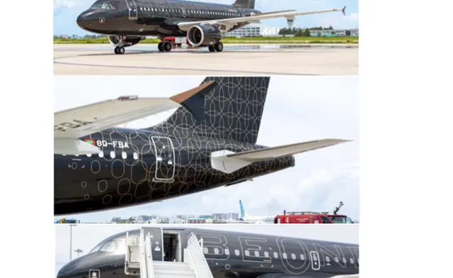 Airbus 319 Corporate Jet