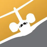 Flite Line Services Fleet