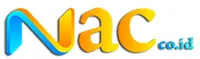 Nusantara Air Charter Fleet