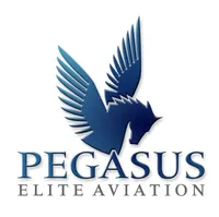 Pegasus Elite Aviation, Inc Fleet