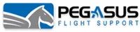 Pegasus Flight Support Fleet