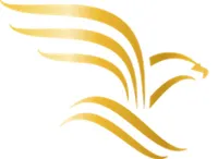 SKYJETS AVIATION Fleet