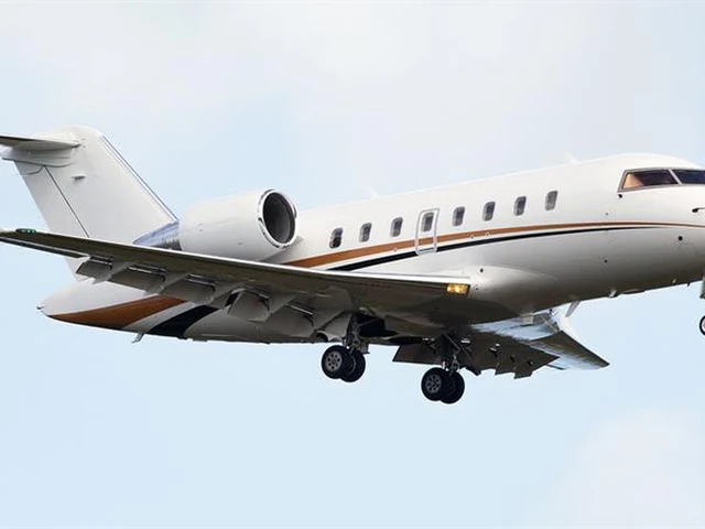 C-GFAP — photo