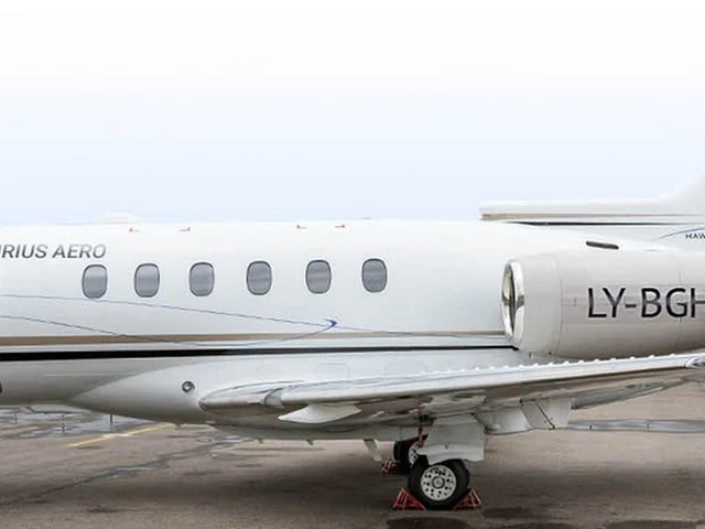 LY-BGH — photo