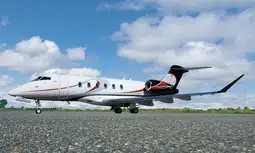 シャンティ 7520681558125-1_1000.jpg?v=